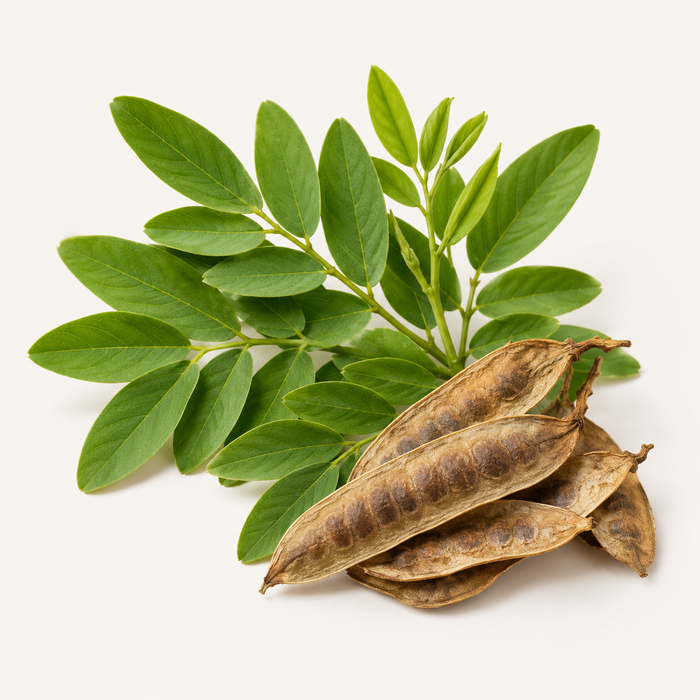 Senna Leaf Extract