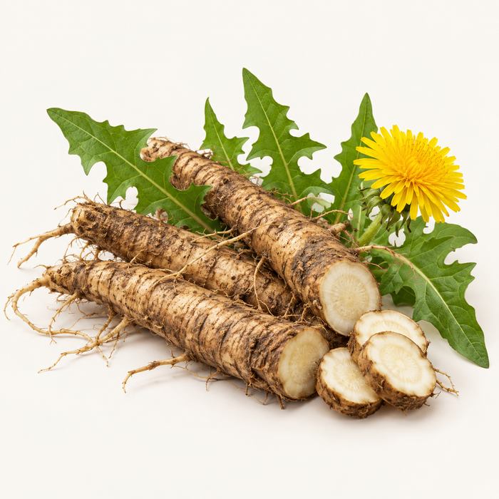 Dandelion Root Extract